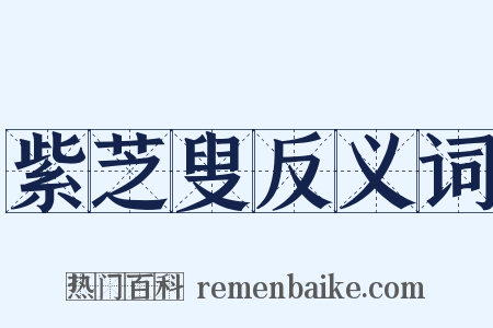 紫芝叟反义词是什么意思的图片